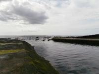 Terceira Porto Martins