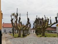 Terceira  Praia da Vitoria
