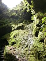Terceira, Vulkanhöhle Algar do Carvao