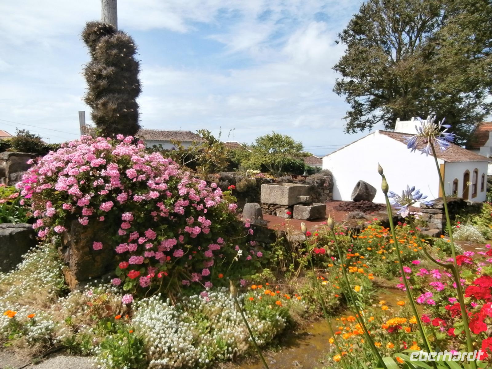 Terceira Weinprobe Aodega Brum
