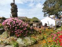 Terceira Weinprobe Aodega Brum