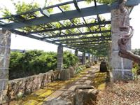 Terceira Weinprobe Aodega Brum