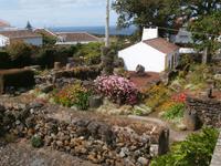 Terceira Weinprobe Aodega Brum