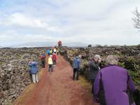 Pico Weinfelder Criacao Velha