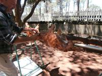 Pico Sao Joao Batista