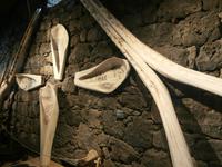 Pico Museu Dos Baleeiros in Lajes Walfangmuseum
