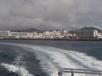 Whale Watching in Ponta Delgada