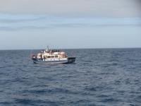 Whale Watching in Ponta Delgada