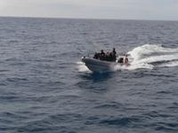 Whale Watching in Ponta Delgada