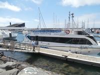 Whale Watching in Ponta Delgada unser Schiff