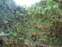 IMG_2371_Vulkanhöhle Algar do Carvao