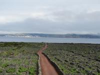 IMG_2436_Weinfelder auf Pico