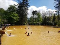 Thermalbecken Park Terra Nostra (3)