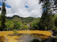 Thermalbecken Park Terra Nostra (4)