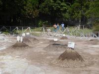 Cozido des Furnas Eintopf in Furnas (2)