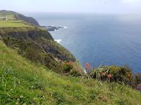 Miradouro do escalvado Aussichtspunkt - Insel Sao Miguel
