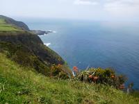 Miradouro do escalvado Aussichtspunkt - Insel Sao Miguel (2)
