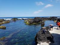 Biscoitos - Terceira
