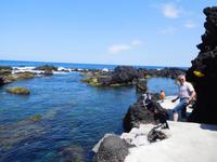 Biscoitos - Terceira (2)