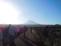 Ganztagesausflug zur Azoren-Insel Pico (7)