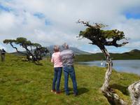 Hochebene auf der Azoren-Insel Pico (4)
