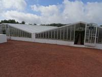 Ananas-Plantage in Ponta Delgada