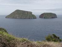 Blick auf die Ziegeninseln