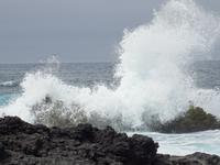 an den Lava - Meerbecken von Biscoitos