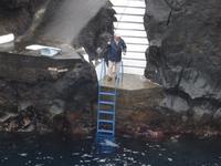 Varadouro auf Faial - Anglerglück