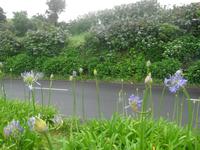 einfach so am Straßenrand