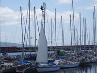 Rundgang durch Horta - Jachthafen