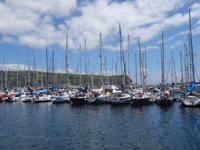 Rundgang durch Horta - Jachthafen