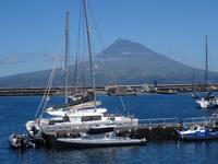 Horta - toller letzter Blick auf den Pico