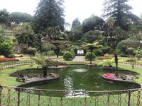 in Angra do Heroismo