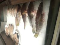 Auswahl zum Abendessen