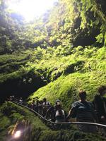 Einstieg in den Vulkanhöhle Algar do Carvaro