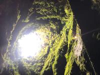Einstieg in den Vulkanhöhle Algar do Carvaro