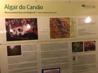 Algar do Carvao