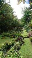 Der Park Terra Nostra, Nähe Furnas