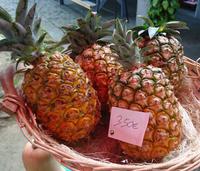 Die hier in Gewächshäusern wachsenden Ananas