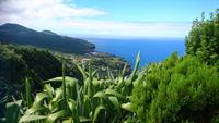 Blick über Faial