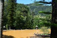 Im Park von Terra Nostra