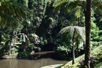 Park von Terra Nostra