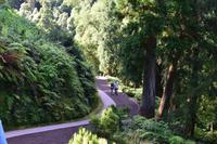 Im Park Caldeira Velha