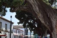 Der Hauptplatz von Ribeira Grande