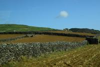 Eine Landschaft wie in Irland