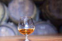 Den Wein durften wir auch verkosten