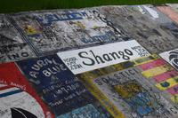 Die Bilder der Segler