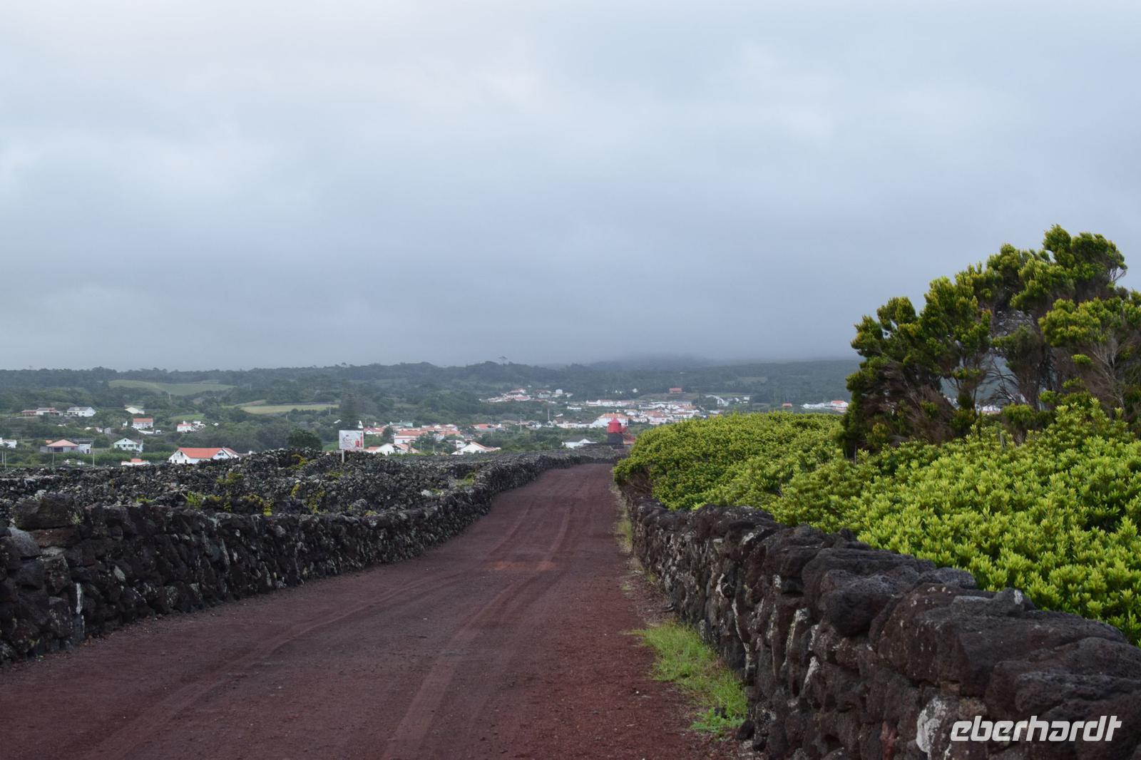 Spaziergang durch die Weinfelder