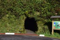 der Eingang zum Caldeira do Faial 
